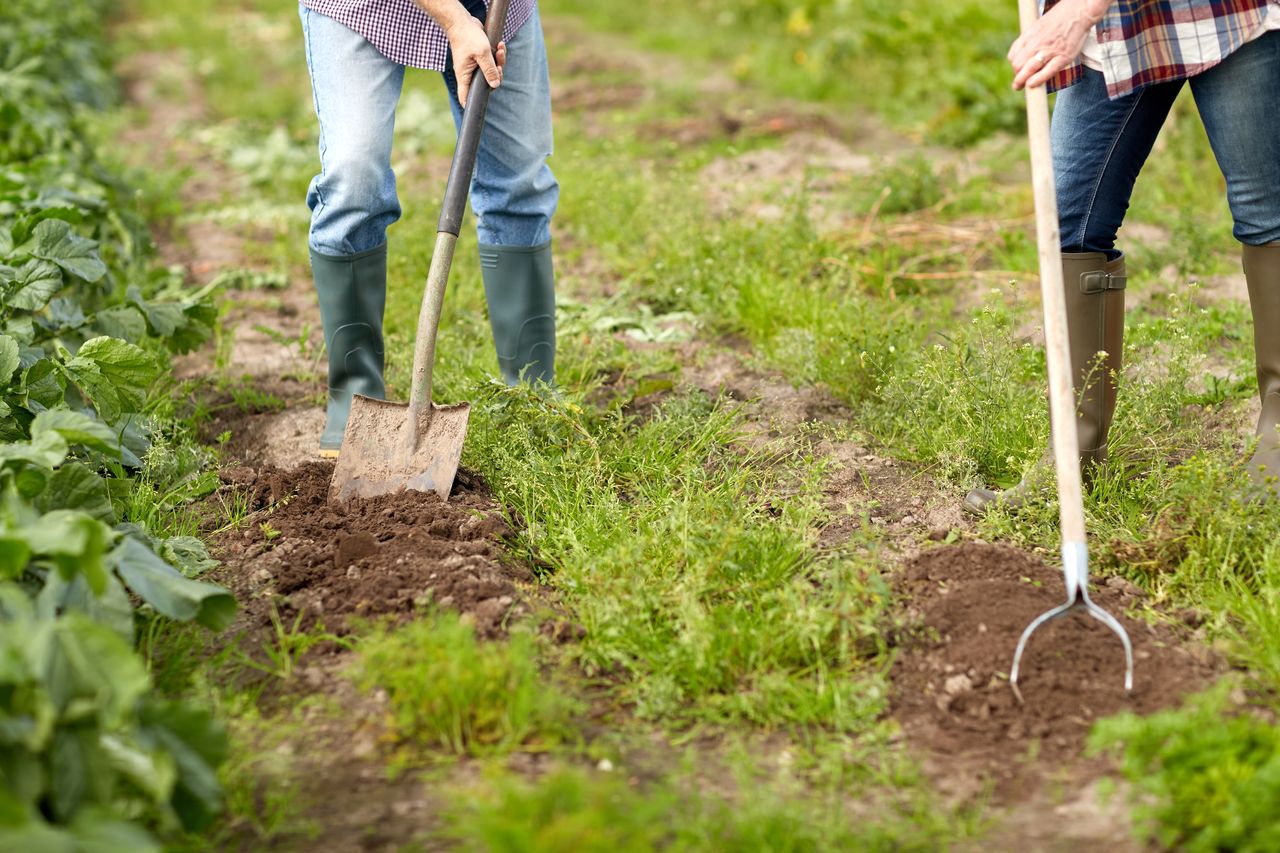 Retourner La Terre Astuces De Pro Pour Un Jardin Florissant Guide