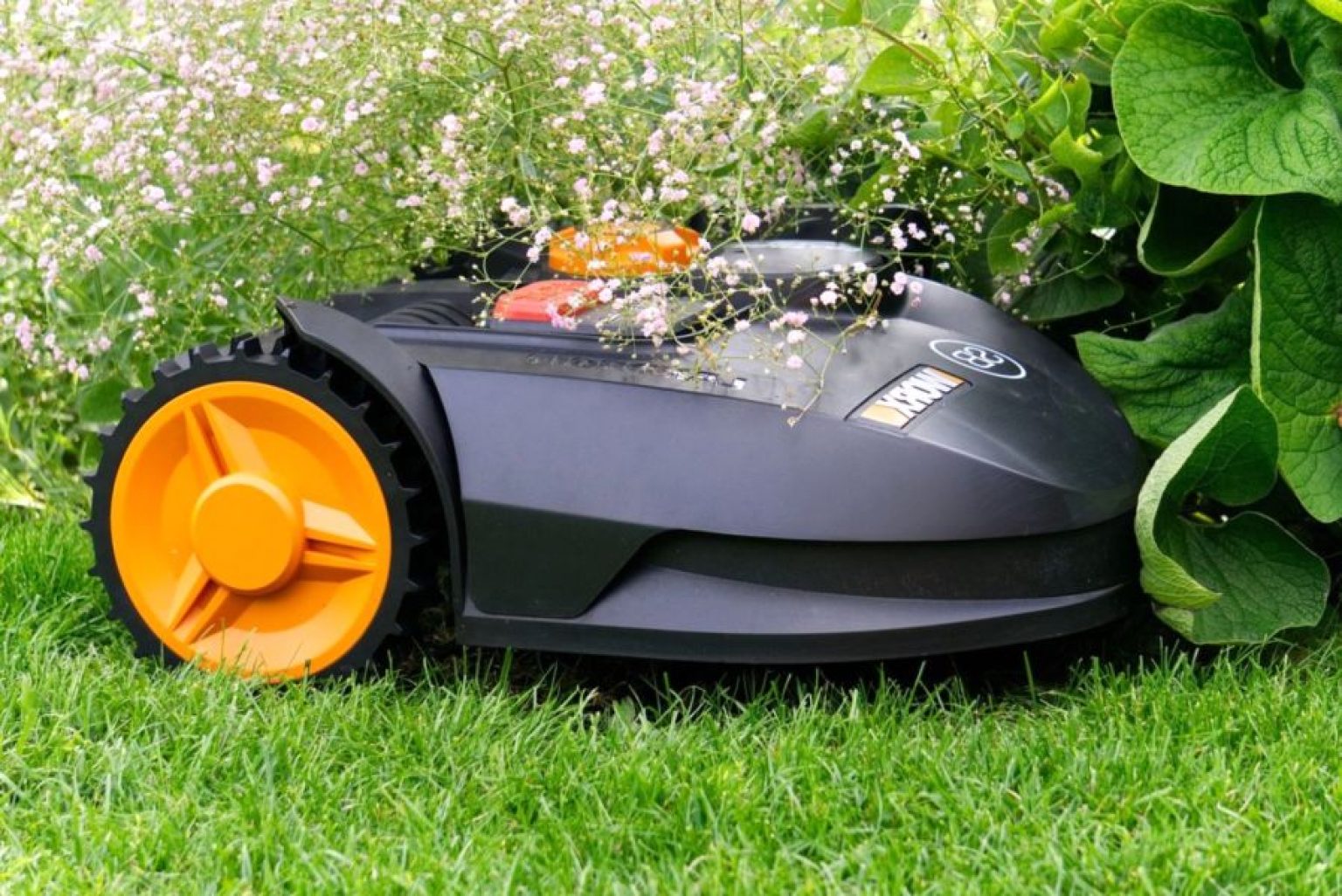 Optimisez Votre Jardin Avec Les Meilleurs Robot Tondeuse Current Date