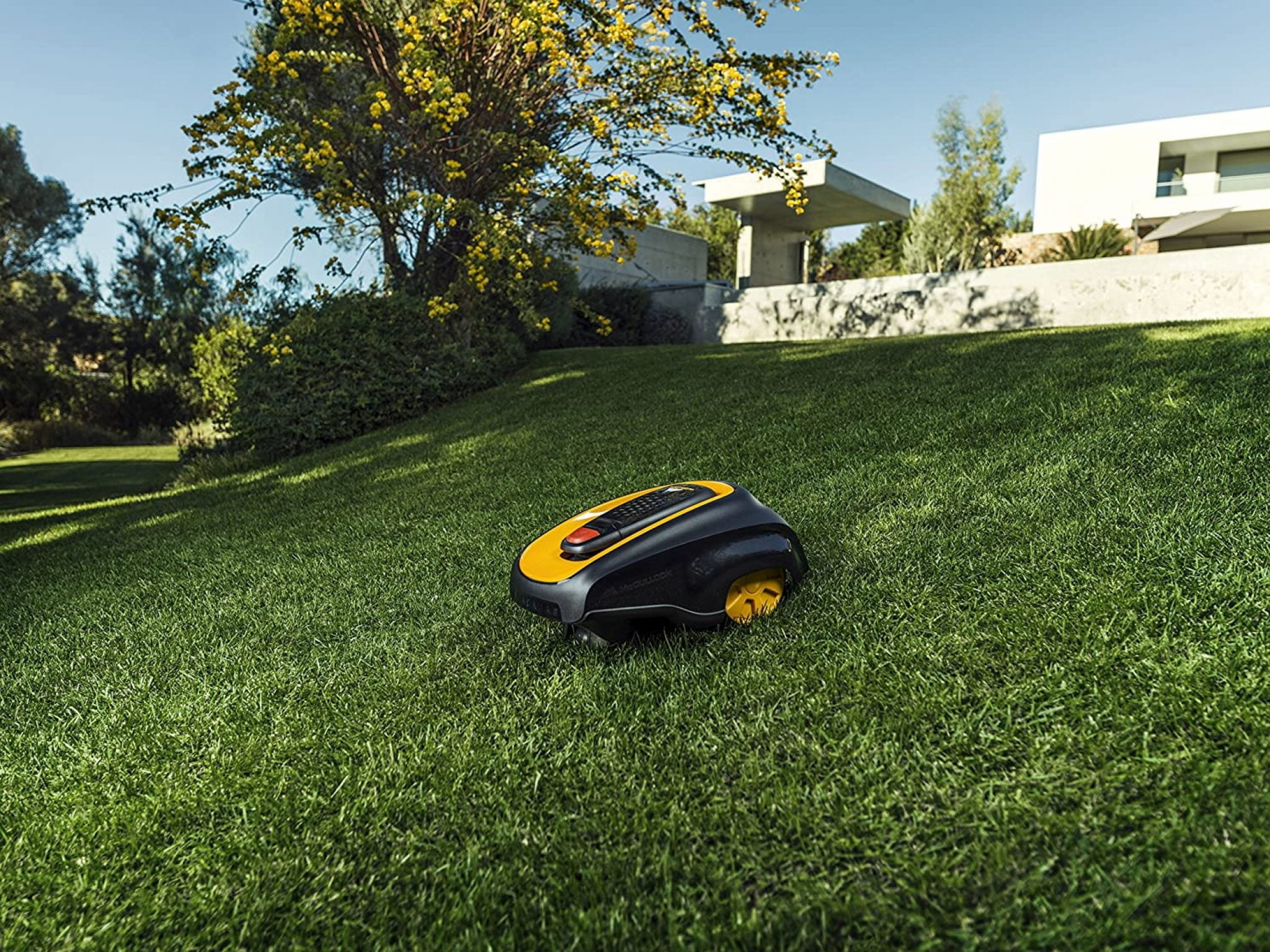 Optimisez votre jardin avec les robots tondeuses sans fil périmètrique de pointe [current_date