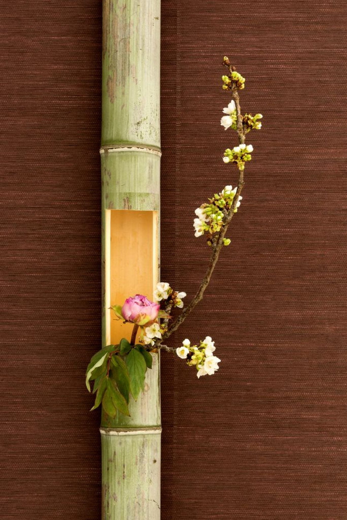 Maîtrisez l'Ikebana, l'art floral japonais, avec nos conseils de