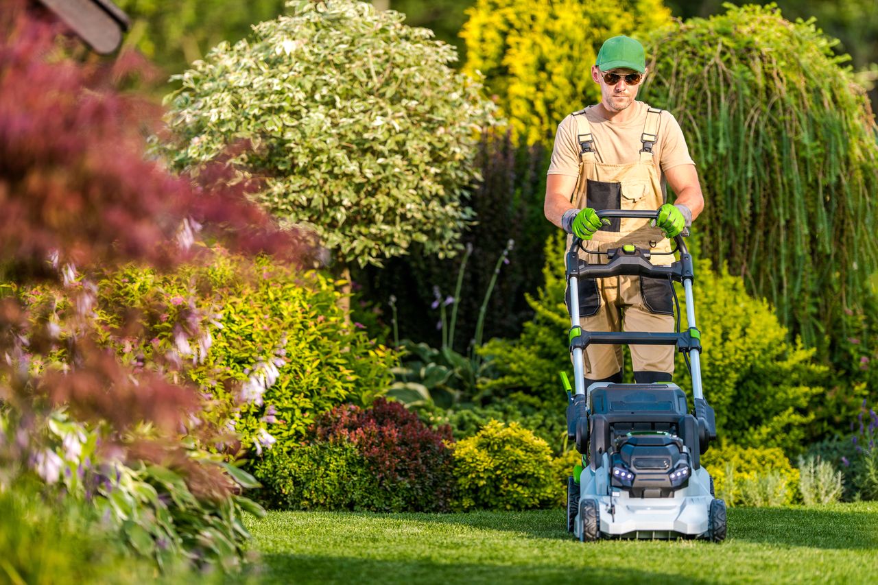 Optimisez l'entretien de votre pelouse : pourquoi engager un jardinier