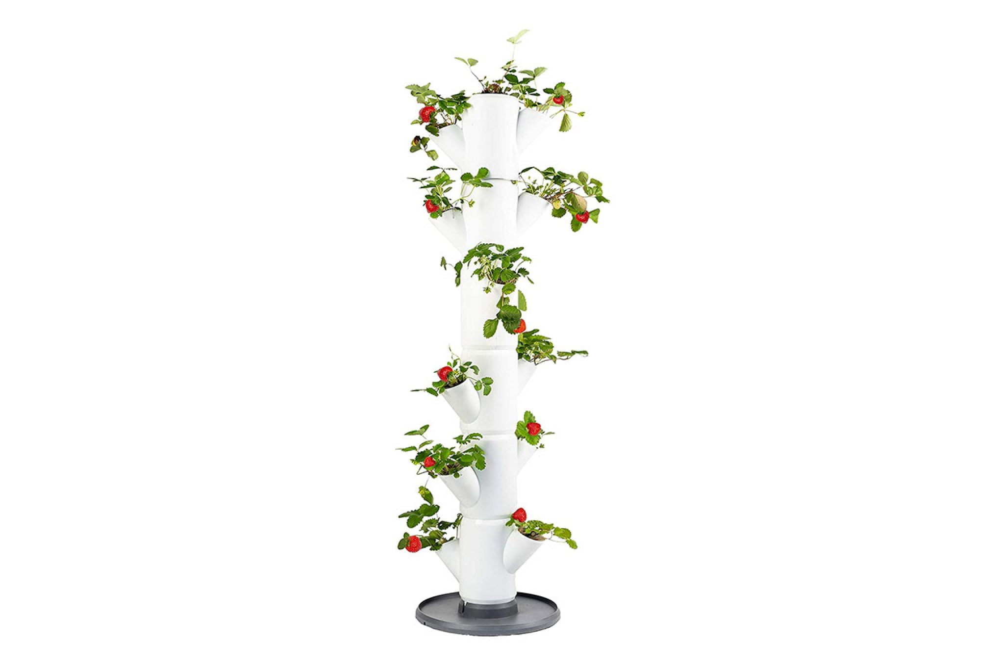 Construisez votre propre tour à fraisier : guide complet pour des