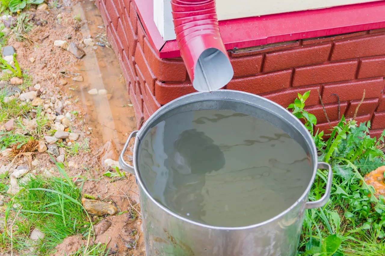 récupérateur d'eau de pluie