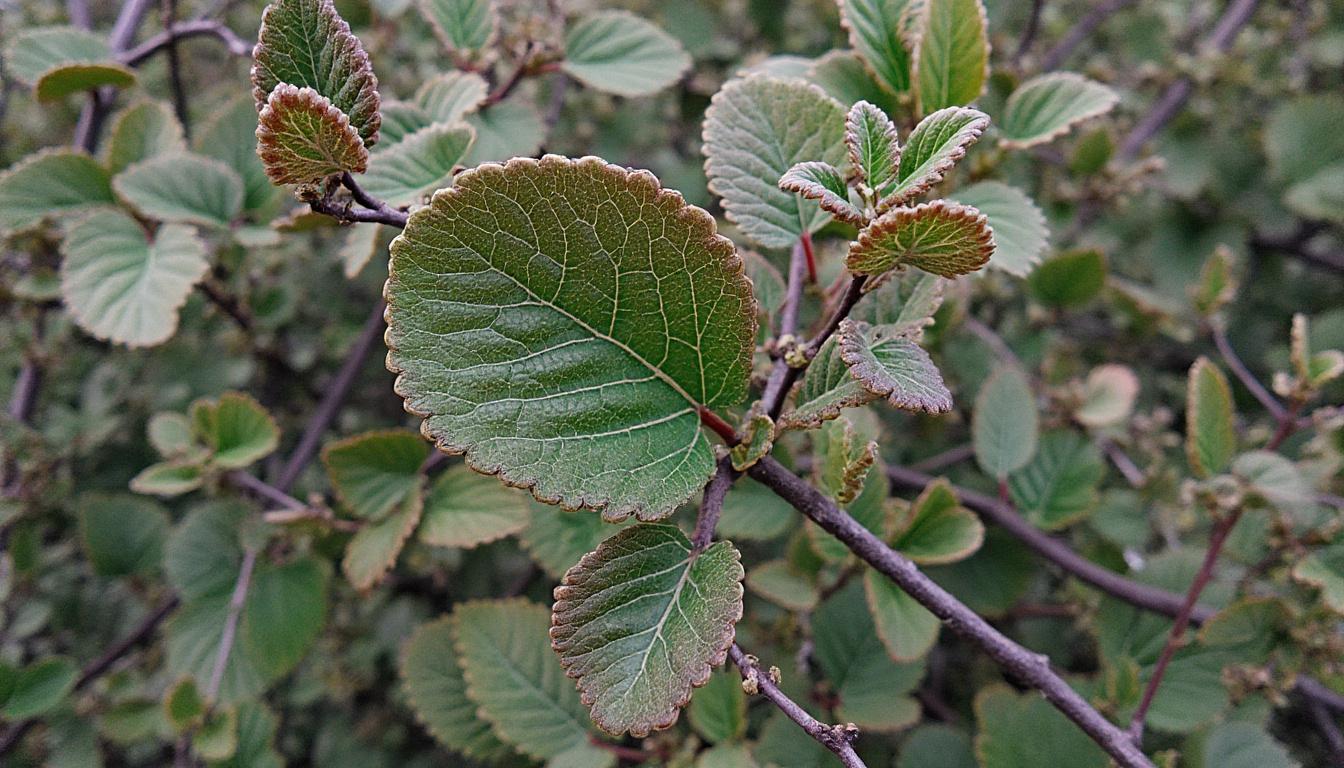 découvrez notre analyse détaillée des formations proposées par institutdubricolage.com : qualité, contenu et avis pour savoir si elles valent vraiment l'investissement.