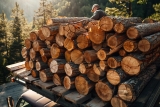 Prix d’un semi-remorque de bois de chauffage en 2m : Guide complet et tarifs 2024