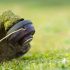 Mauvaises odeurs des canalisations : solutions et astuces