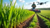 Le guide complet pour semer du ray grass italien en 2025