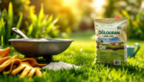 Tout savoir sur la chaux à gazon dologran : bienfaits et utilisation