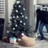 Papier peint panoramique : où pouvez-vous l’installer dans votre logement ?