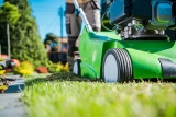 L’importance du scarificateur de pelouse